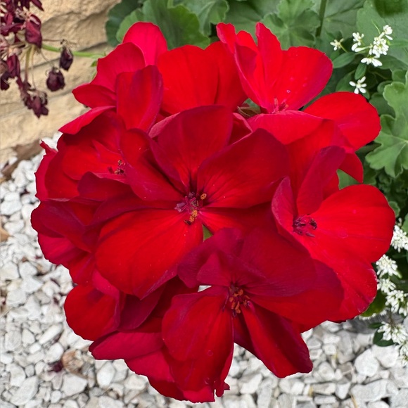 kathyking852